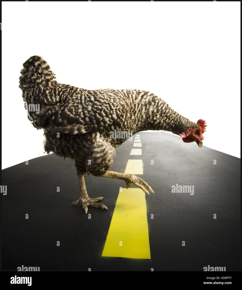 Ontdek de Sensatie van Chicken Road Online in Nederland